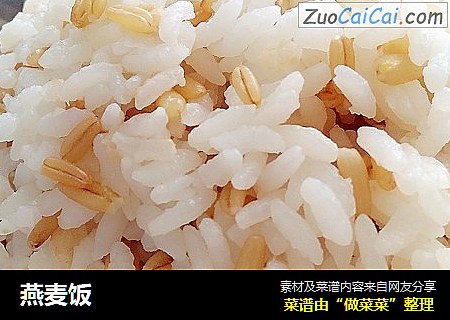 燕麦饭