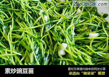 素炒豌豆苗