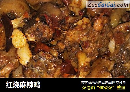 红烧麻辣鸡