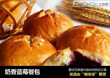 奶香蓝莓餐包