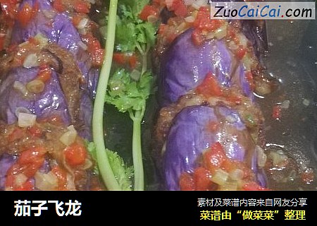 茄子飞龙