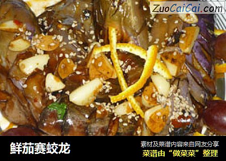 鲜茄赛蛟龙