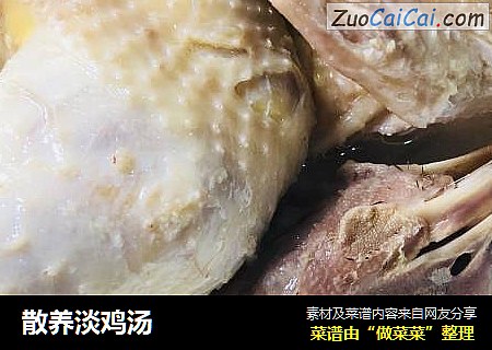 散养淡鸡汤