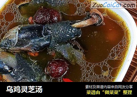 乌鸡灵芝汤