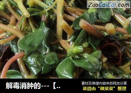 解毒消肿的---【蒜蓉马齿苋】
