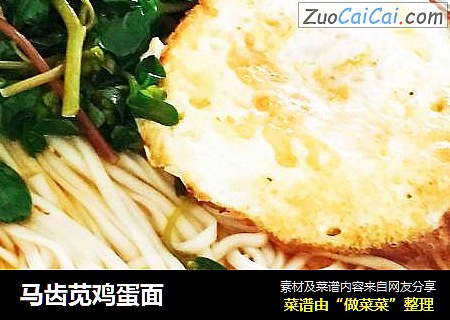 马齿苋鸡蛋面