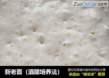 新老面