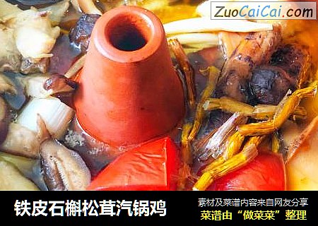 铁皮石槲松茸汽锅鸡
