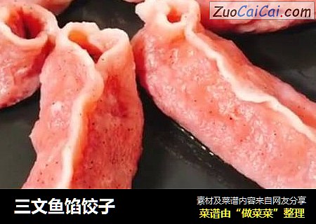 三文鱼馅饺子