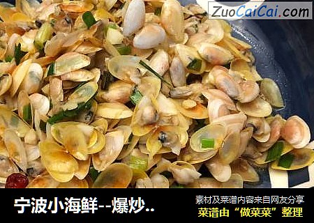 宁波小海鲜--爆炒海瓜子