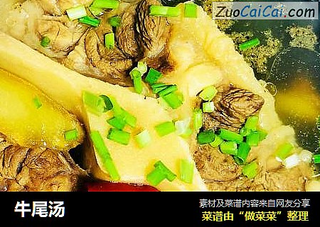牛尾汤