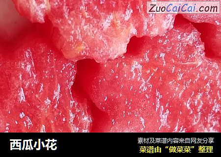 西瓜小花