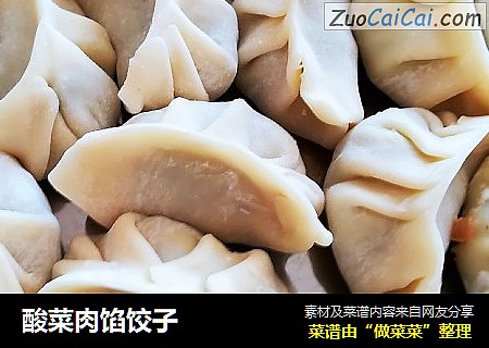 酸菜肉馅饺子