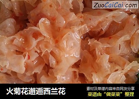 火菊花邂逅西兰花