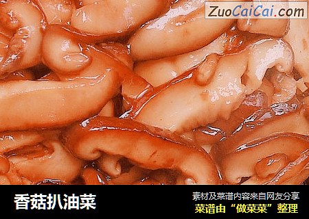 香菇扒油菜
