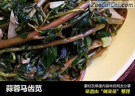 蒜蓉马齿苋