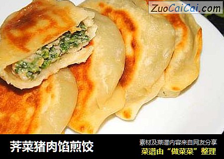 荠菜猪肉馅煎饺