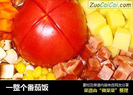 一整个番茄饭