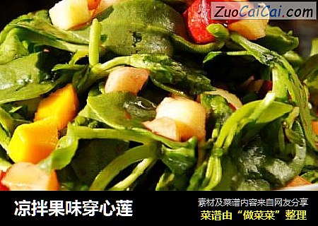 凉拌果味穿心莲