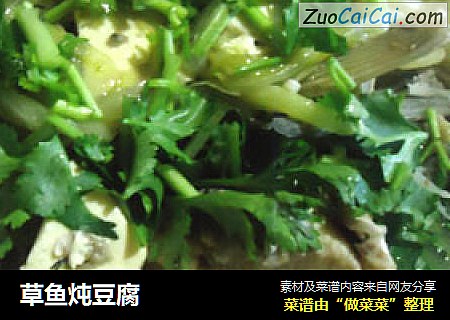 草鱼炖豆腐