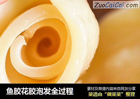 鱼胶花胶泡发全过程