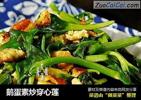 鹅蛋素炒穿心莲