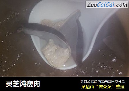 灵芝炖瘦肉