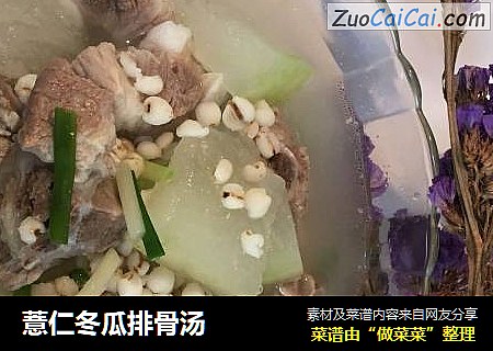薏仁冬瓜排骨汤