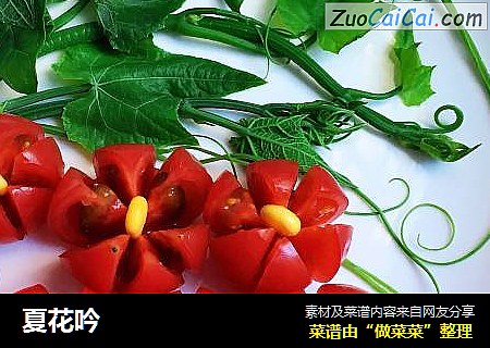 夏花吟