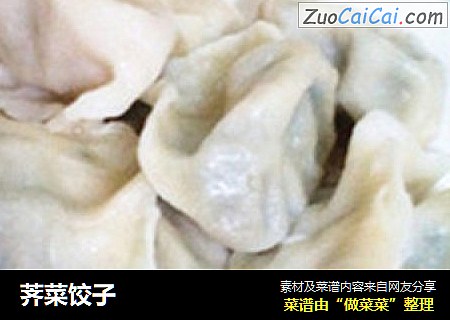 荠菜饺子