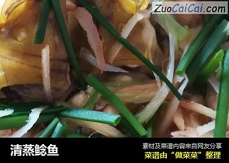 清蒸鲶鱼