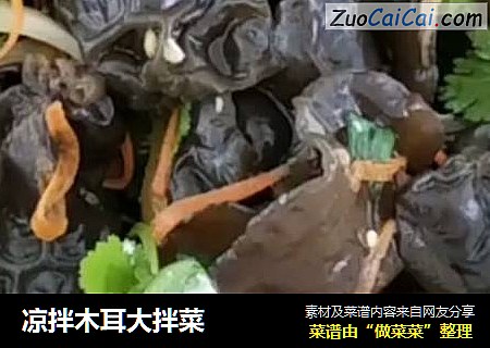 凉拌木耳大拌菜