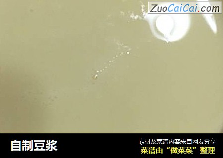 自制豆浆