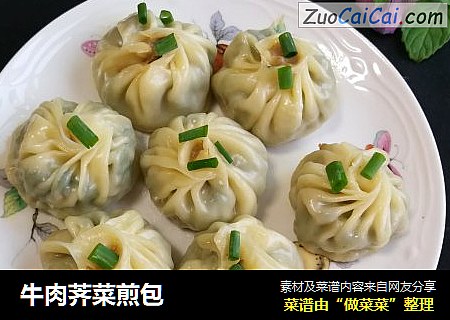 牛肉荠菜煎包