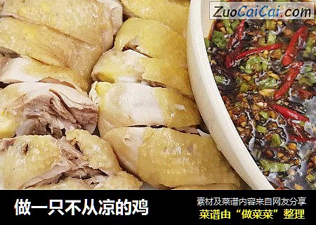 做一只不从凉的鸡