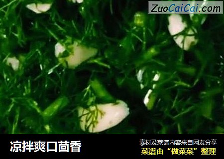 凉拌爽口茴香
