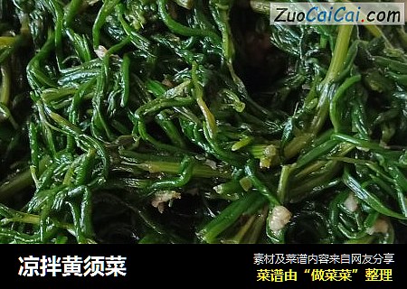 凉拌黄须菜