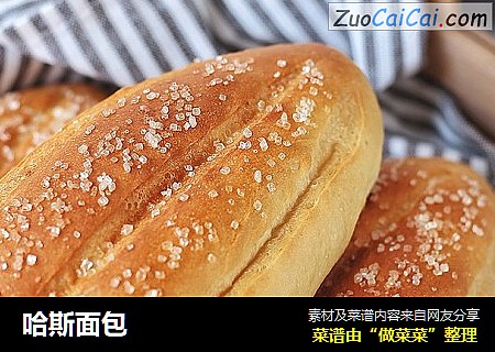 哈斯面包