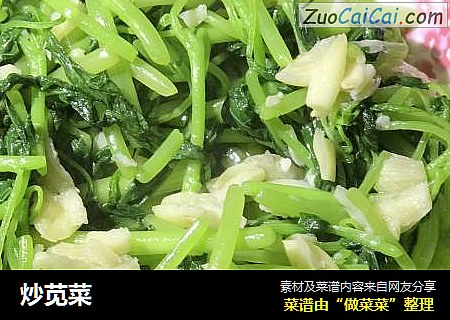 炒苋菜
