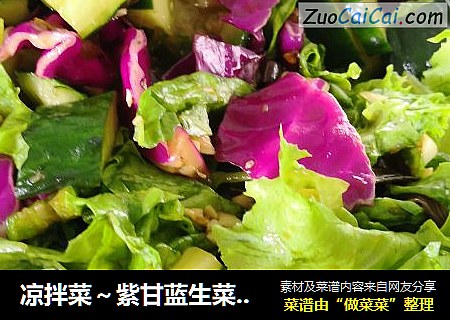 凉拌菜～紫甘蓝生菜黄瓜辣椒