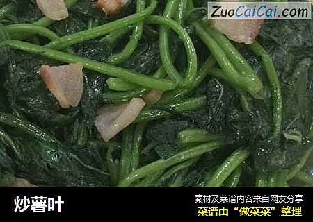 炒薯叶