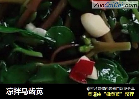 凉拌马齿苋