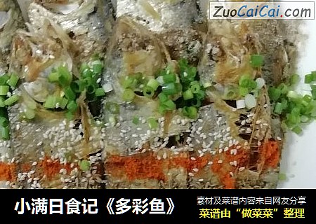 小满日食记《多彩鱼》