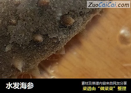 水发海参