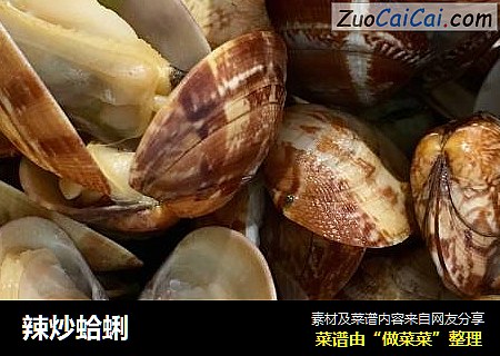 辣炒蛤蜊