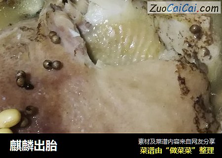 麒麟出胎