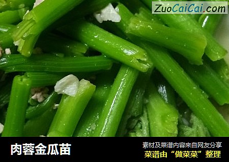 肉蓉金瓜苗