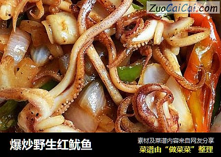 爆炒野生红鱿鱼