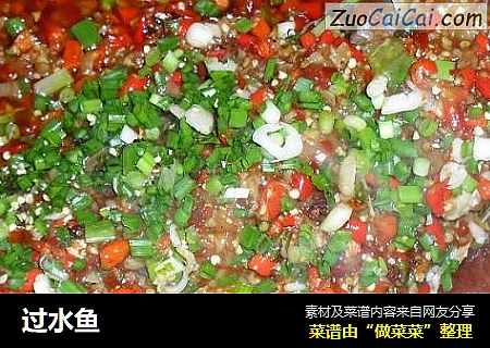过水鱼