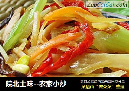 皖北土味--农家小炒
